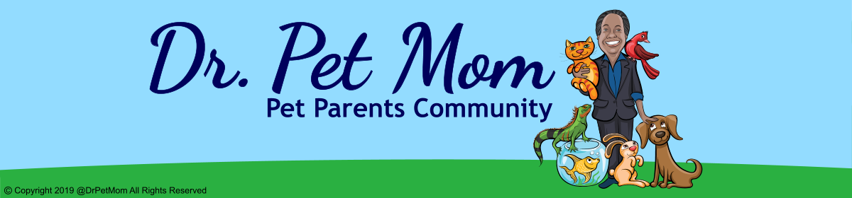Dr. Pet Mom