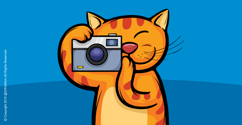 Digital Photography and Videography Tips 📷 📹