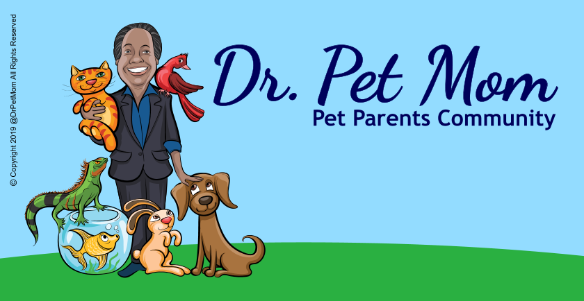 Delightful Pet Menagerie Newsletter – March Edition 🗞️