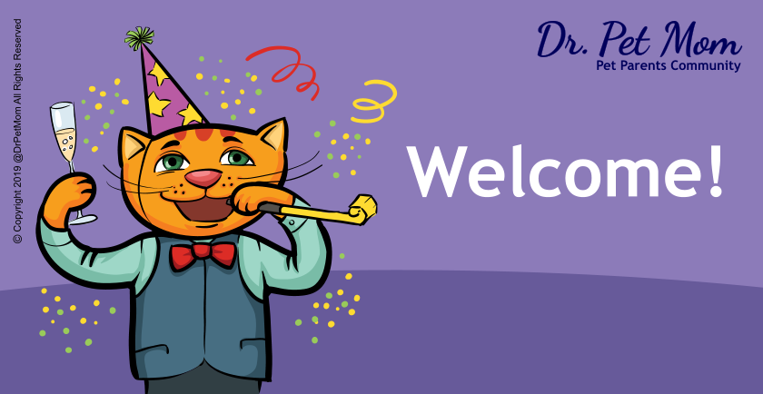 Welcome to Dr. Pet Mom! 🥳