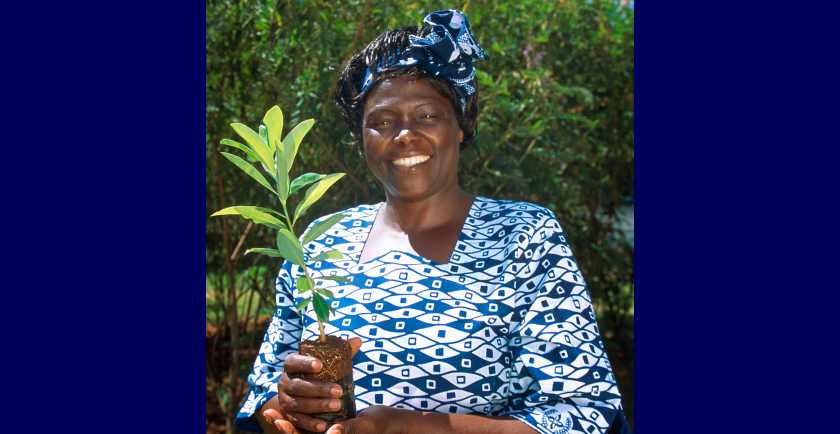 Celebrating Wangari Maathai Day 🥳