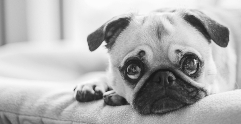 Out of the Deepest Abyss: My Journey Understanding and Coping With Depression and Anxiety 😿