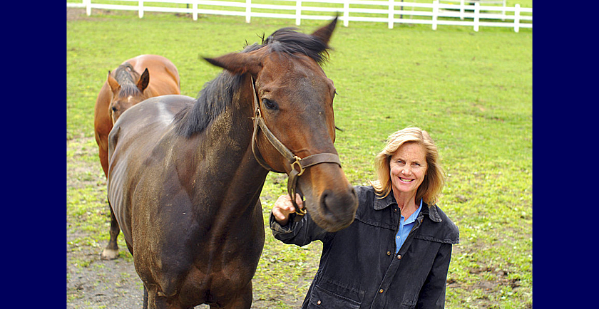 Rescuing Thoroughbred Racehorses in New Jersey 🐎