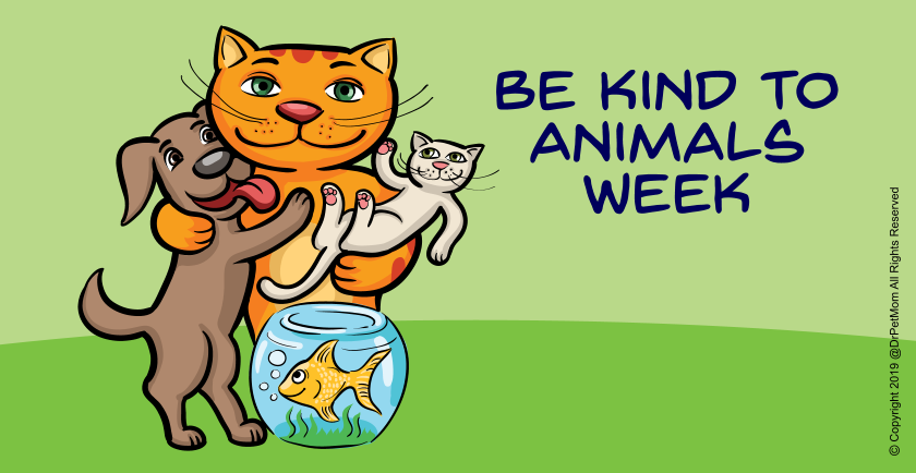 May 6-11: Celebrating Be Kind To Animals Week 🥳