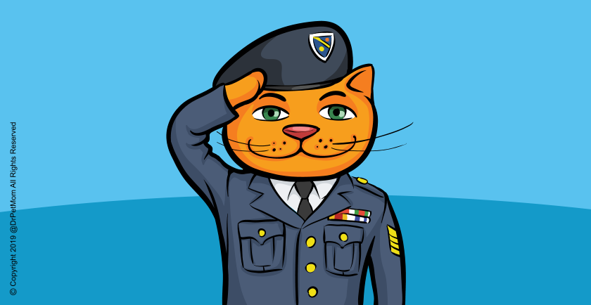 Armed Forces Day: May 18 🎖️