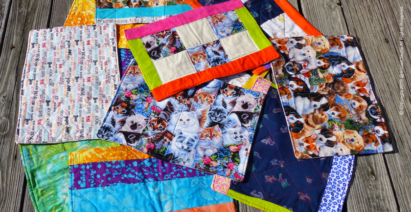 More Kudos For Dr. Pet Mom! 😎