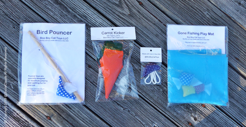 Cat Product Review: Boo Boy Cat Toys 🐈