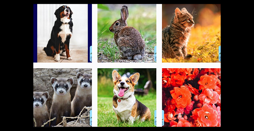 How to Post Media on Instagram Without a Smartphone 📱