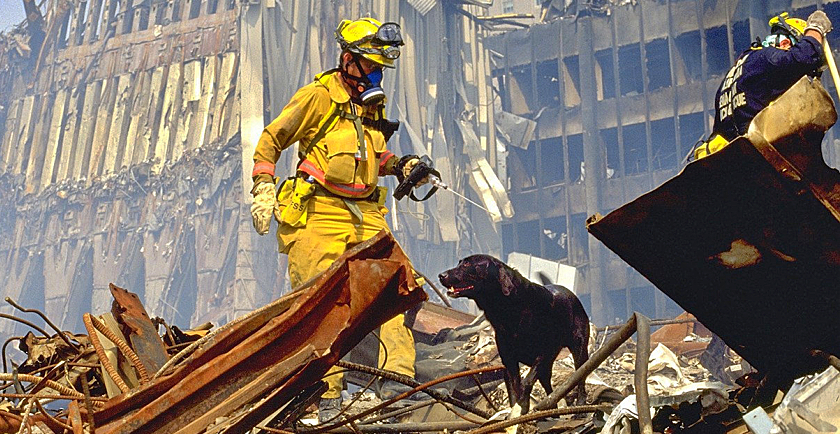 Remembering 9/11 Rescue Dogs 🇺🇸
