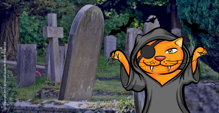 Halloween Pet Safety 🎃