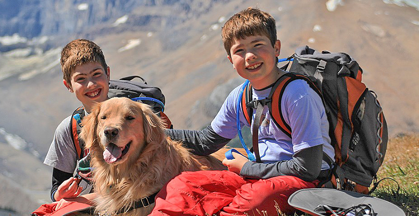 Holiday Fun: Doggy Campgrounds 🏕️