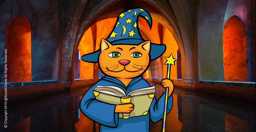 Is Your Cat Psychic? Try This Fun Experiment! 🐱