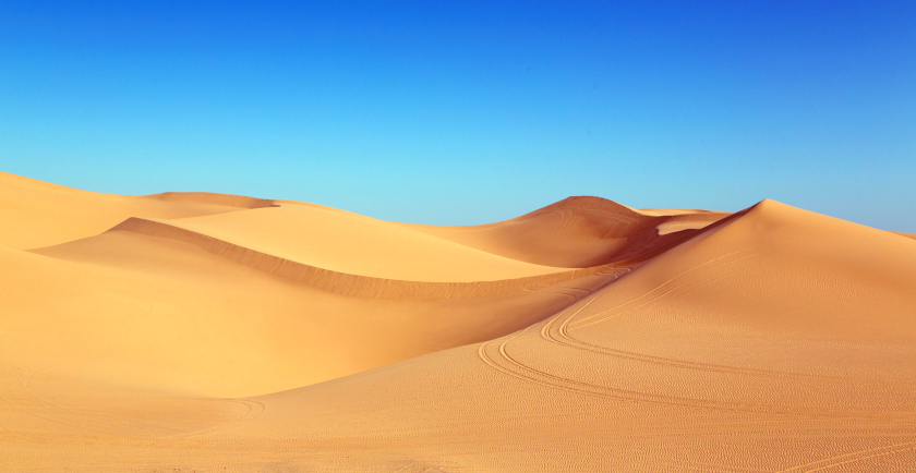 Pets For Life in Pet Service Deserts 🐱 🐶 🐇 🦜