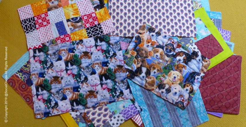 Holiday Gifting for Rescue Animals 🎁