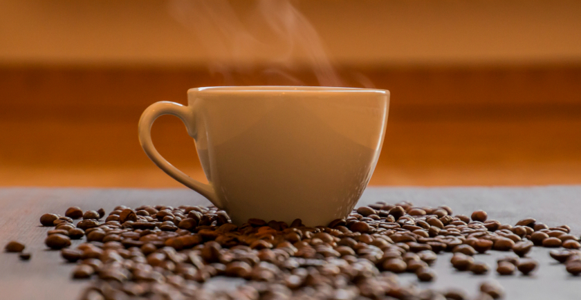 Never Foods for Cats and Dogs! 🚨