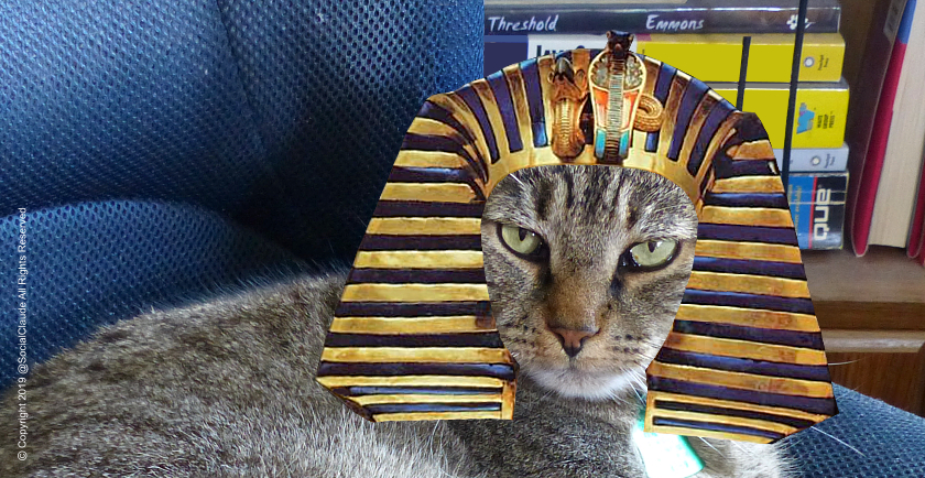 Definitive Oscar Meme Collection 🏆