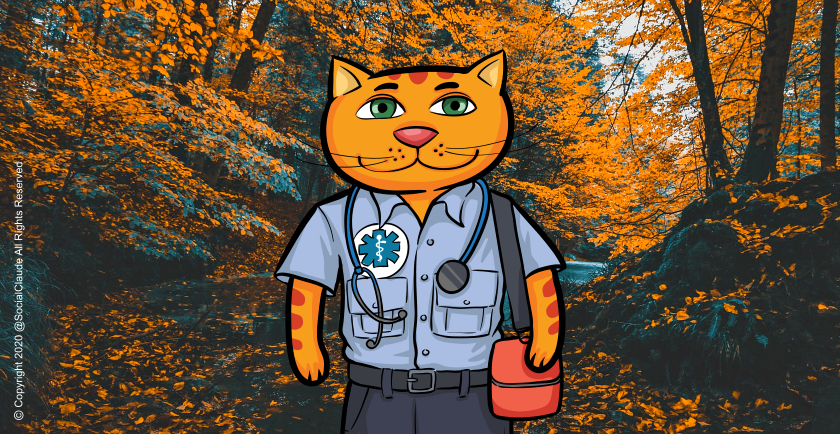 Autumn Pet Safety Tips 🎃