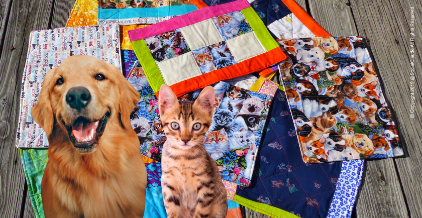 DrPetMom.com Asking for Your Help to Donate More Shelter Quilts! 🐱 🐶