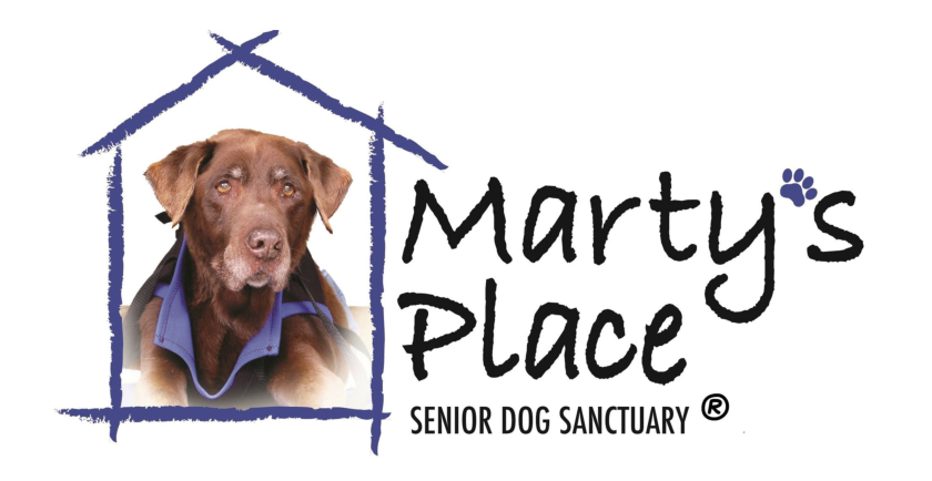 Interview: Marty’s Place Senior Dog Sanctuary Founder, Doreen Jakubcak 🐶