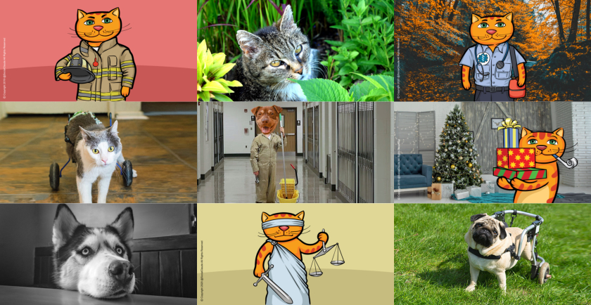 Collage of Pet Parenting Tips for 2024 🔧