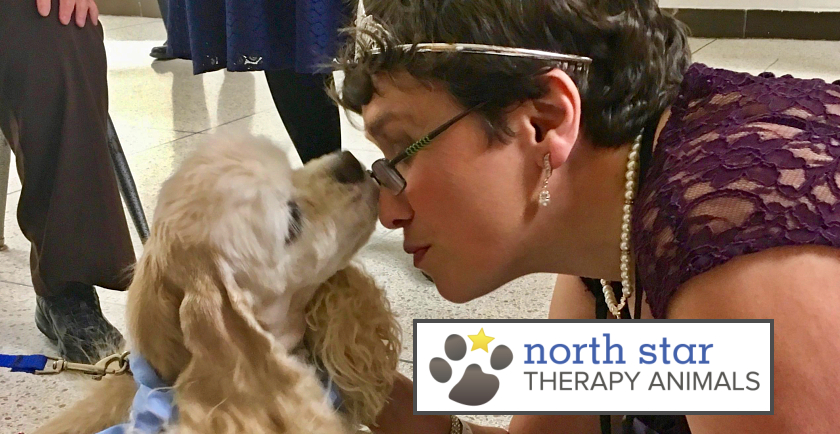 National Therapy Animal Day: Interview with Denise Cochran of North Star Therapy Animals 🐶
