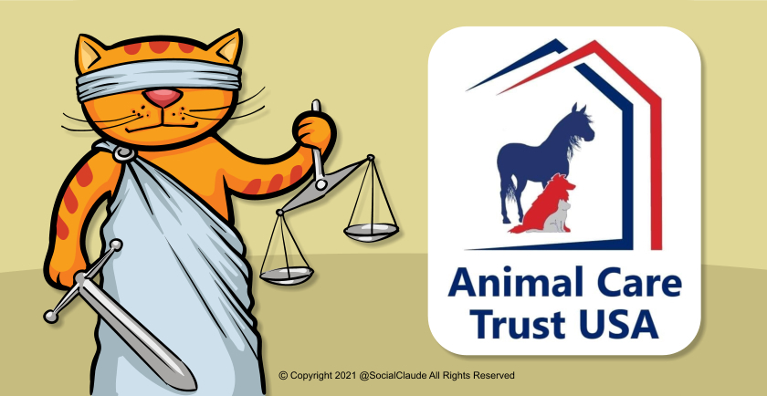Interview: Founder Peggy Hoyt from Animal Care Trust USA ⚖️