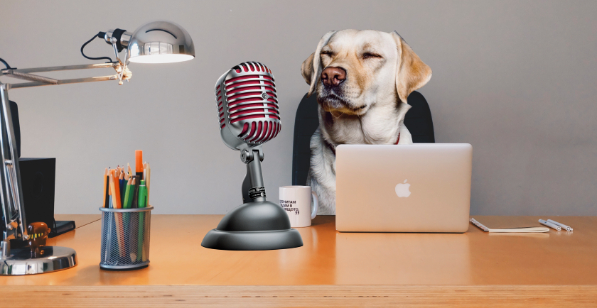 Listen Up! Dr. Pet Mom’s Podcast Interview 🎙️